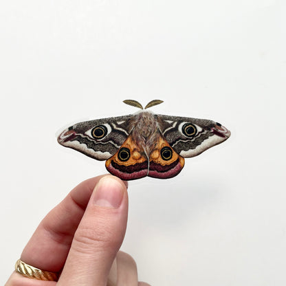 Emperor Moth Sticker with Clear Background