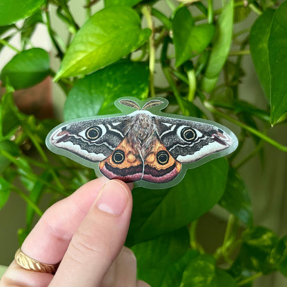 Emperor Moth Sticker with Clear Background