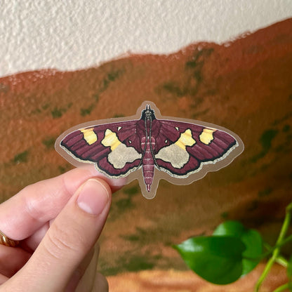 Clear Background Small Butterfly & Moth Sticker Pack