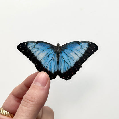 Blue Morpho Sticker with Clear Background