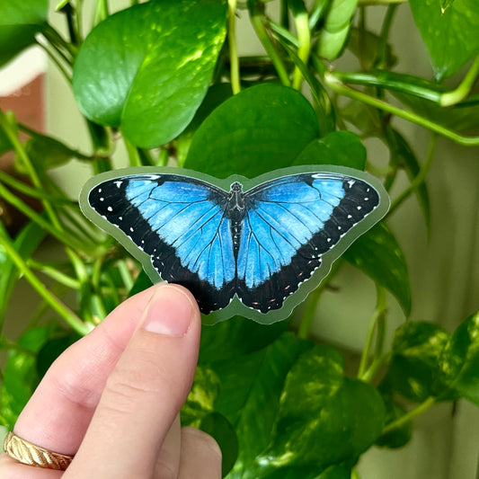 Blue Morpho Sticker with Clear Background