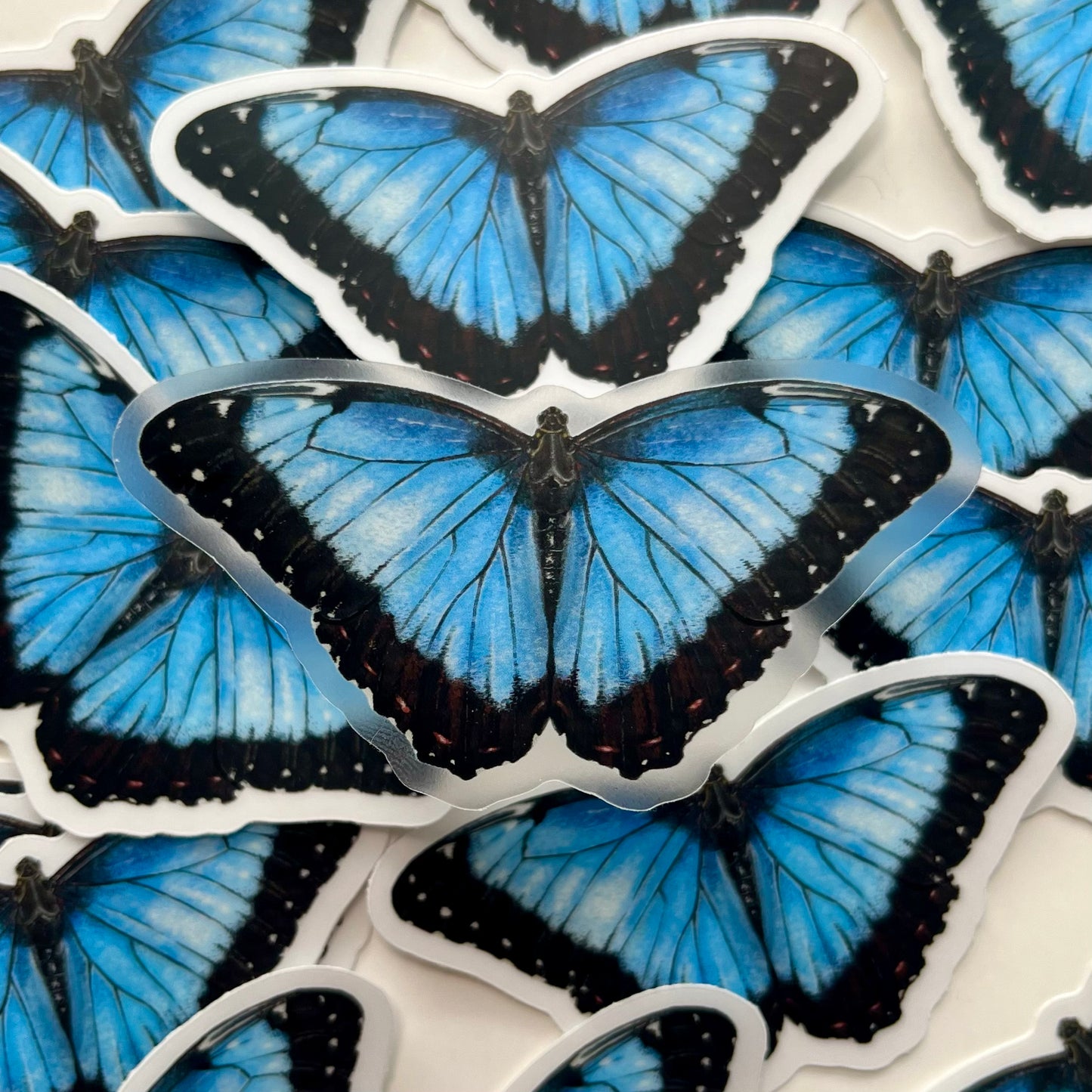 Blue Morpho Sticker with Clear Background