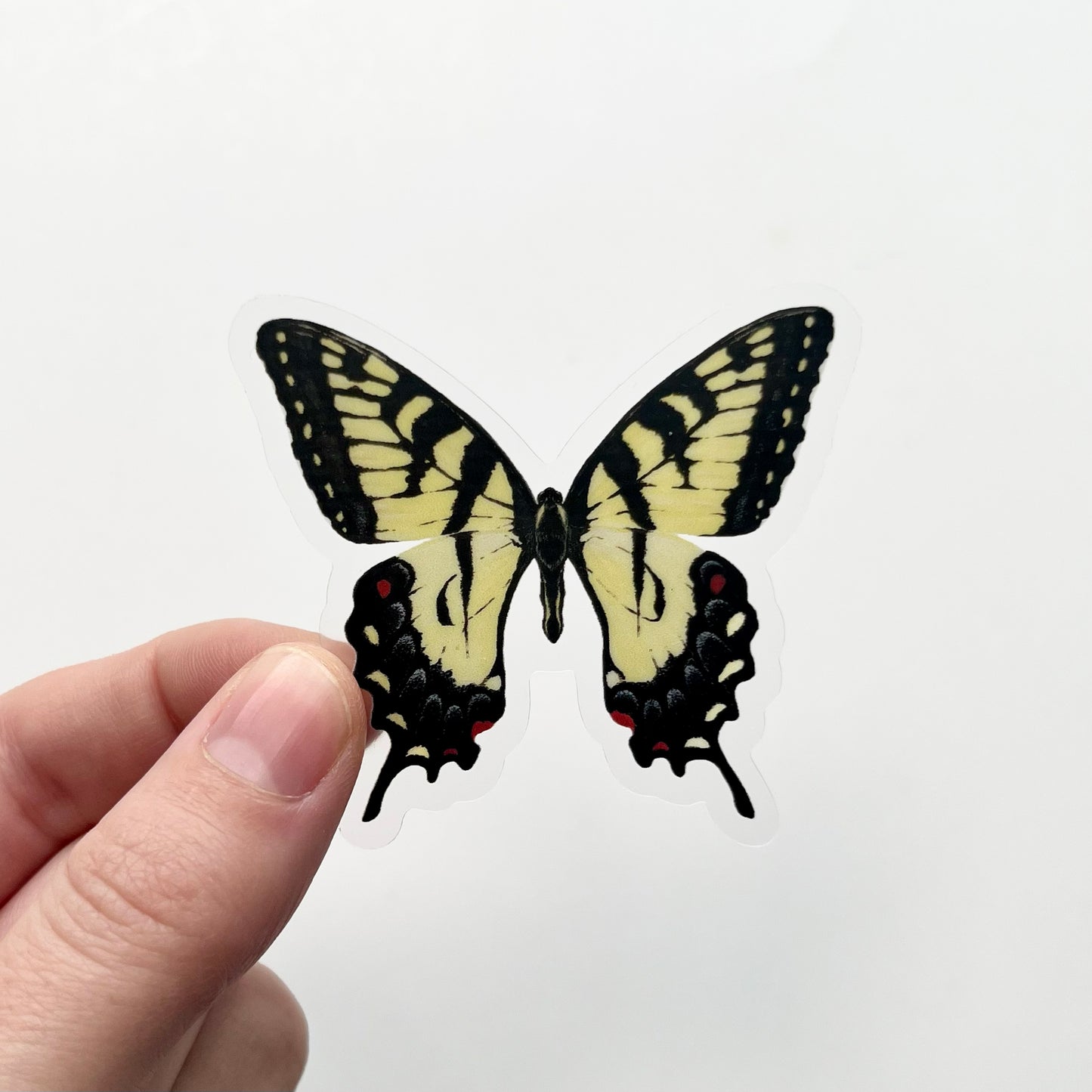 Clear Background Small Butterfly & Moth Sticker Pack