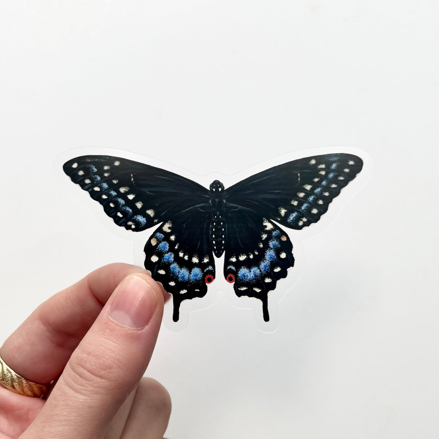 Black Swallowtail Sticker with Clear Background