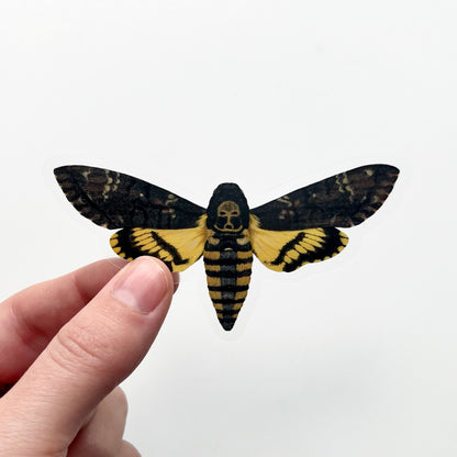 Death's Head Hawk Moth Sticker with Clear Background