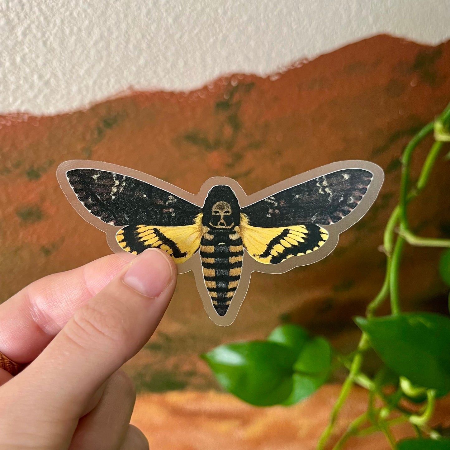 Death's Head Hawk Moth Sticker with Clear Background