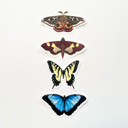 Clear Background Small Butterfly & Moth Sticker Pack