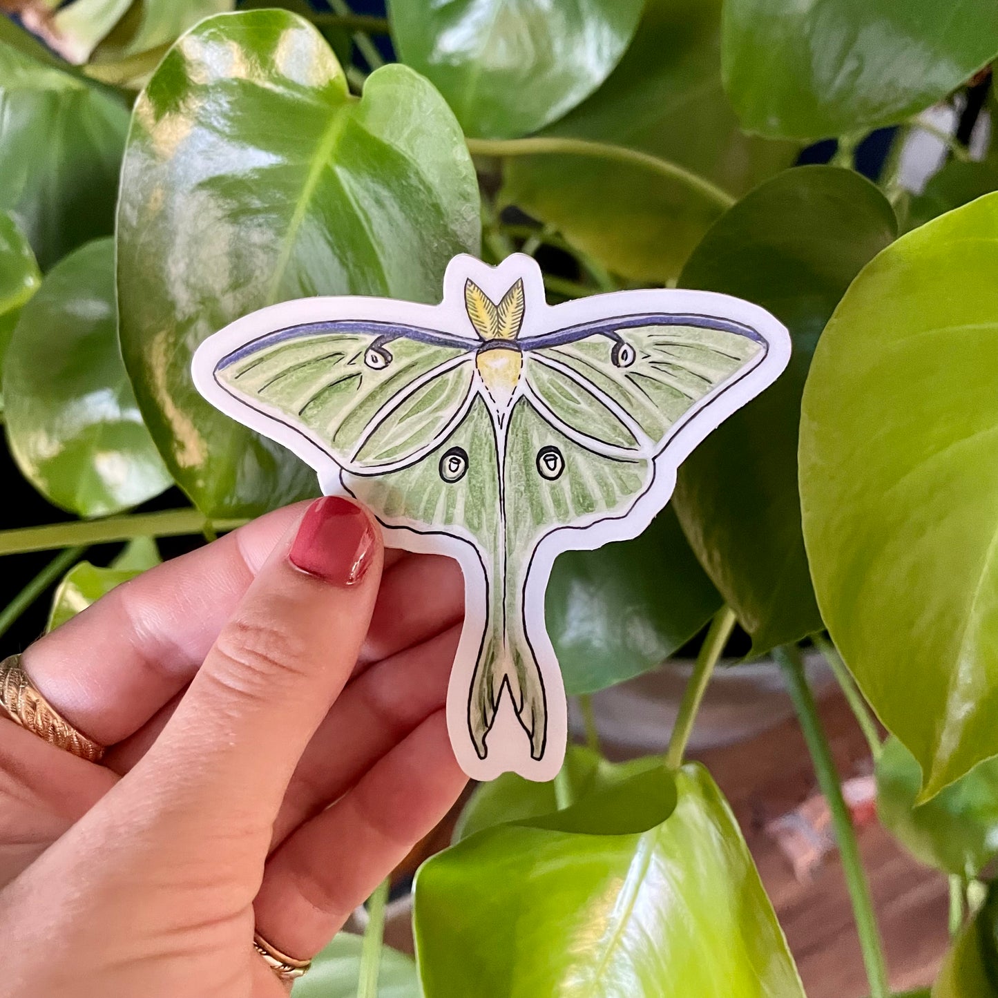 Luna Moth Sticker