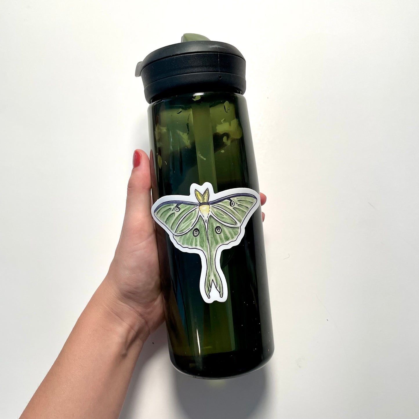 Luna Moth Sticker