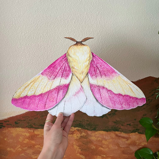 Rosy Maple Moth Wood Cutout Print
