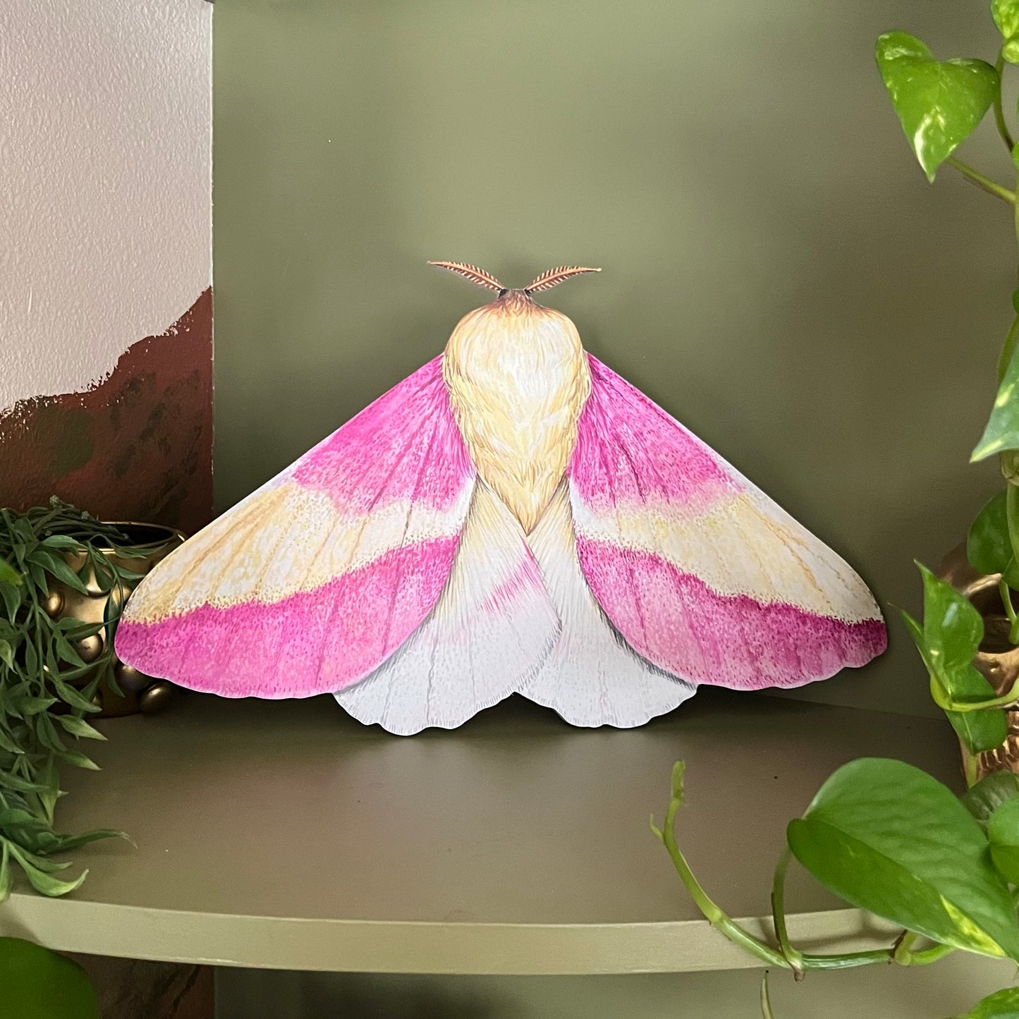 Rosy Maple Moth Wood Cutout Print