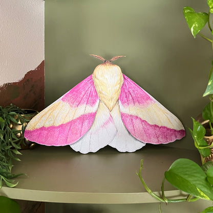 Rosy Maple Moth Wood Cutout Print