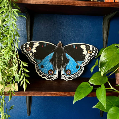 Blue Pansy Butterfly Wood Cutout Print