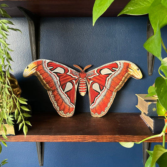 Handmade Wooden Atlas Moth Print Wood Cutout