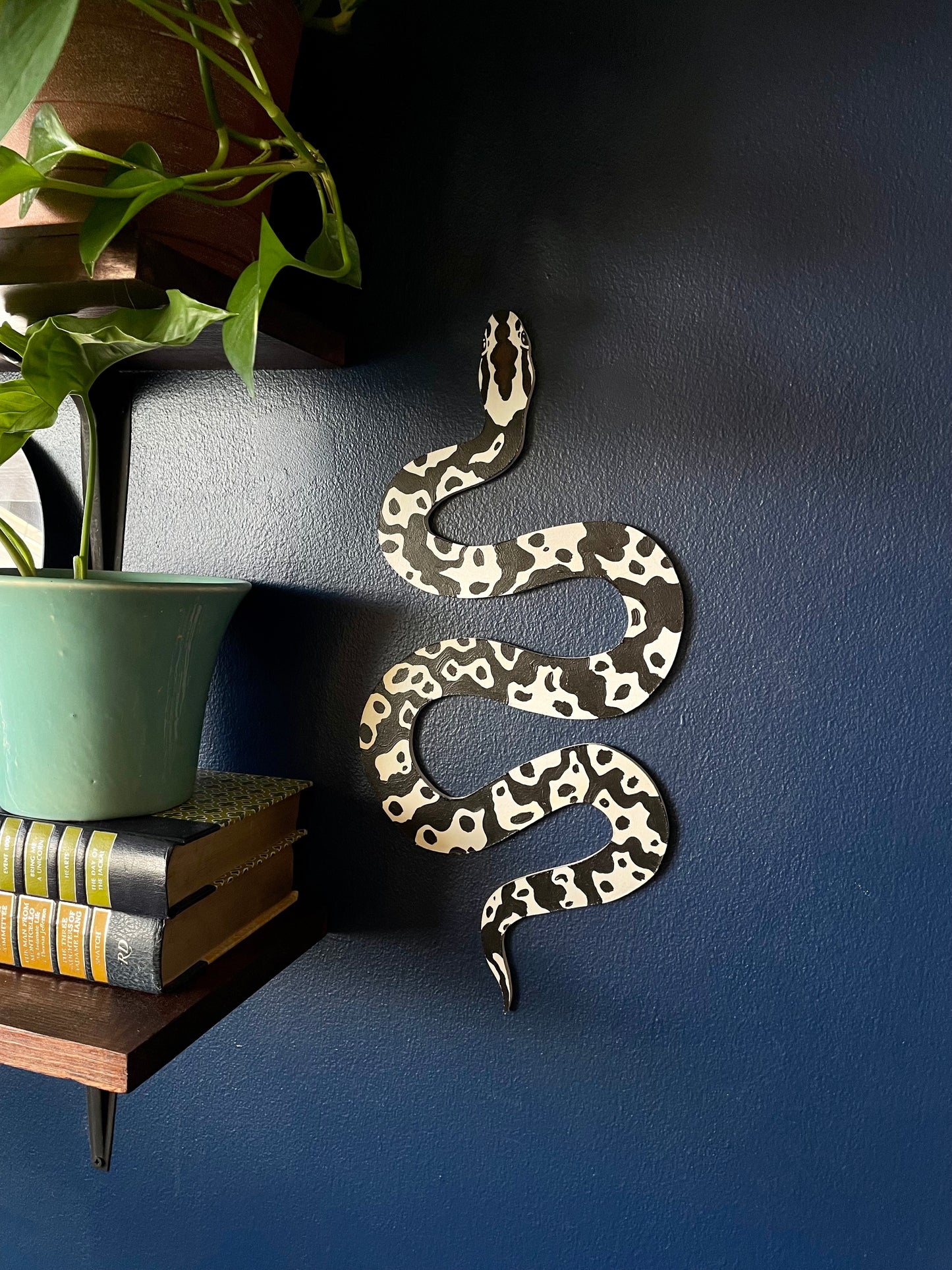 Custom Hand-Painted Snake Wood Cutout