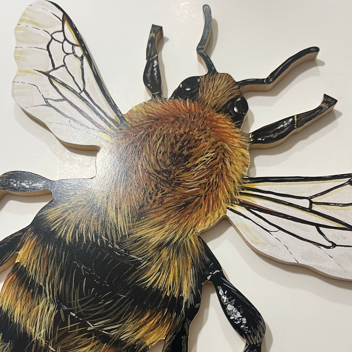 Wood Bee Print Cutout