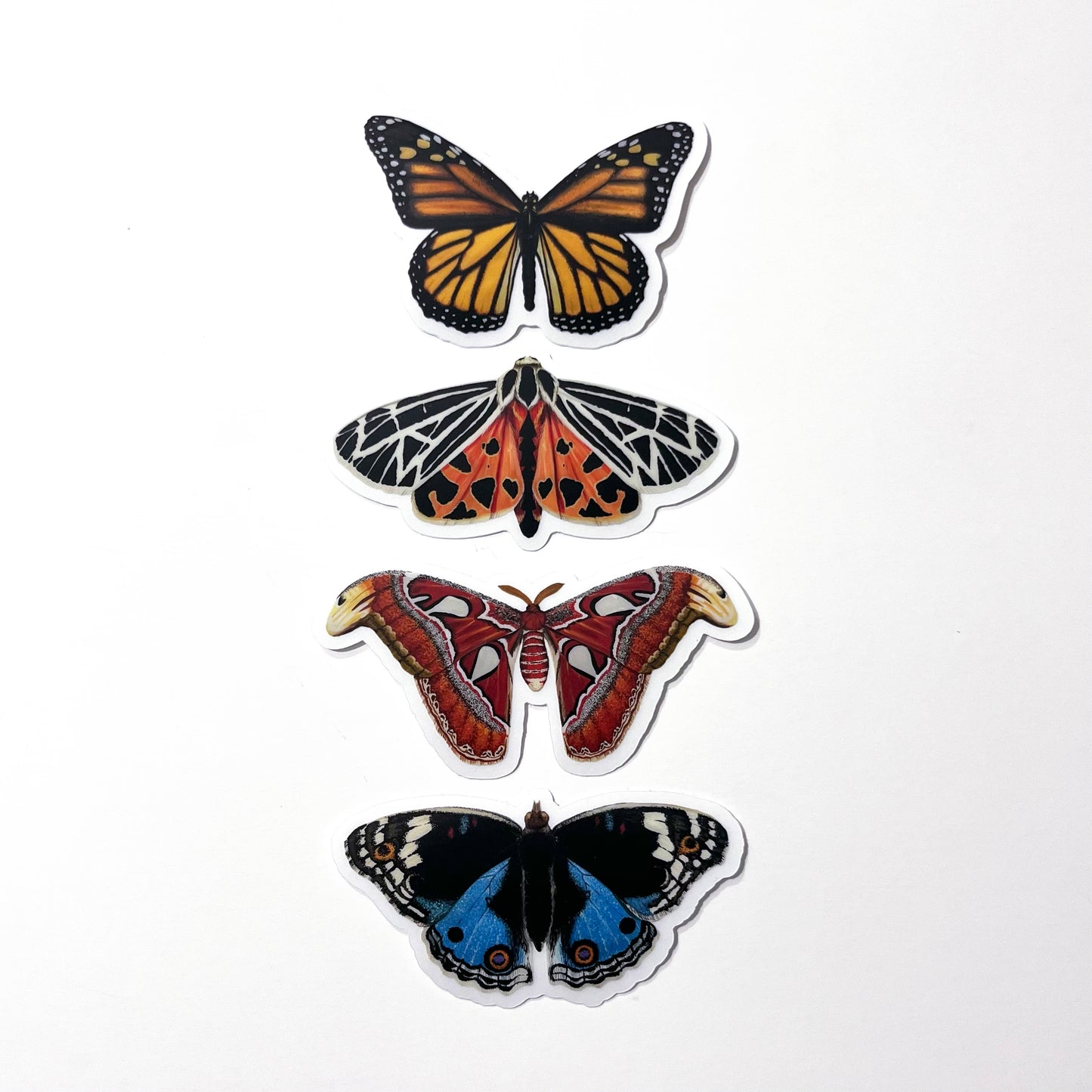 Clear Background Butterfly & Moth Sticker Pack