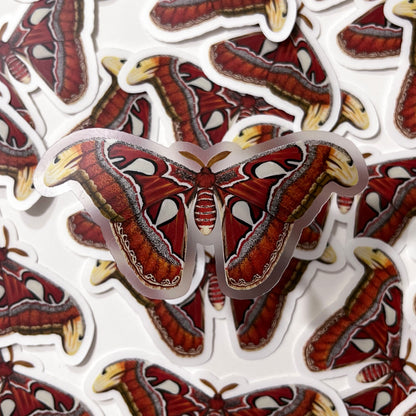 Atlas Moth Sticker with Clear Background