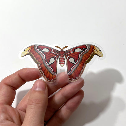 Atlas Moth Sticker with Clear Background