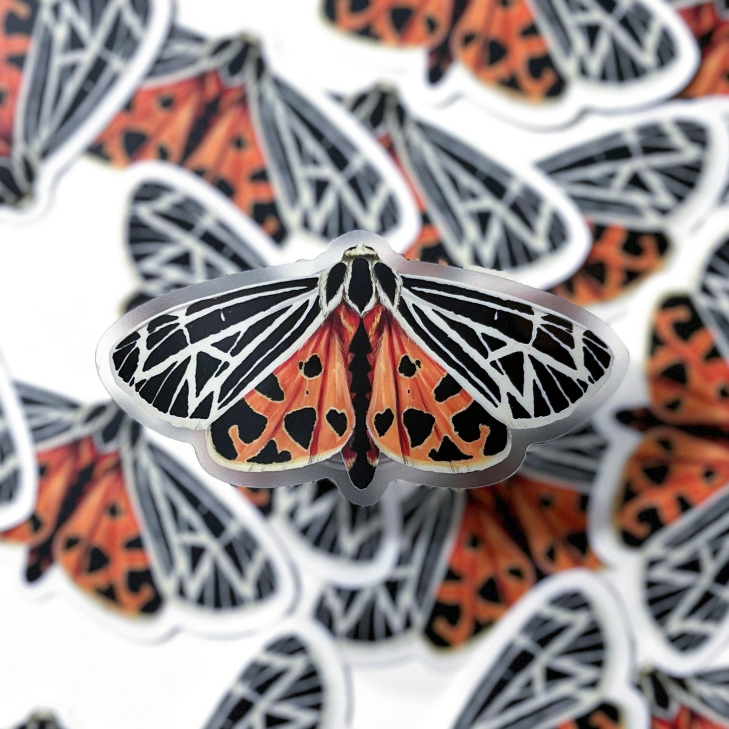 Virgin Tiger Moth Sticker with Clear Background