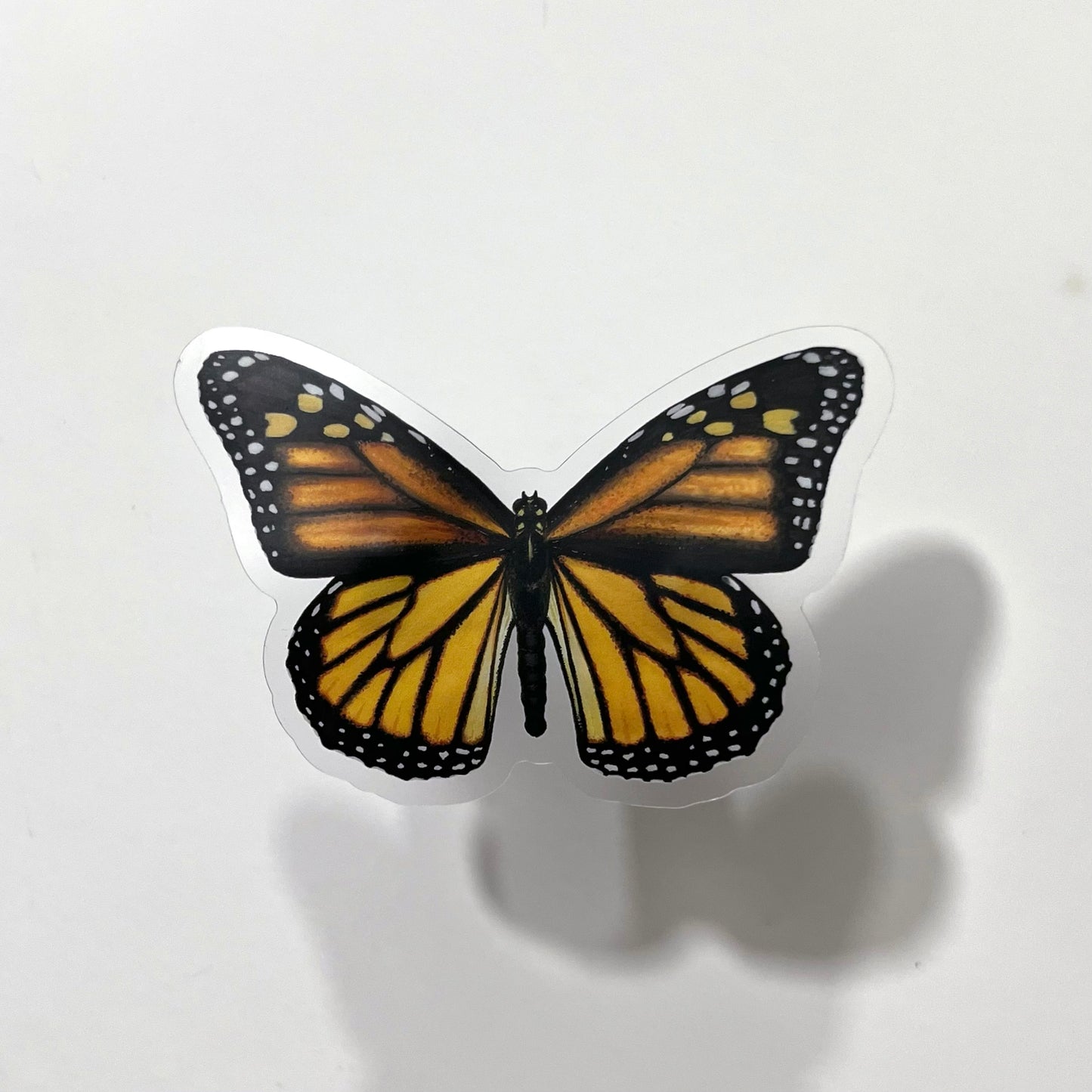 Monarch Sticker with Clear Background