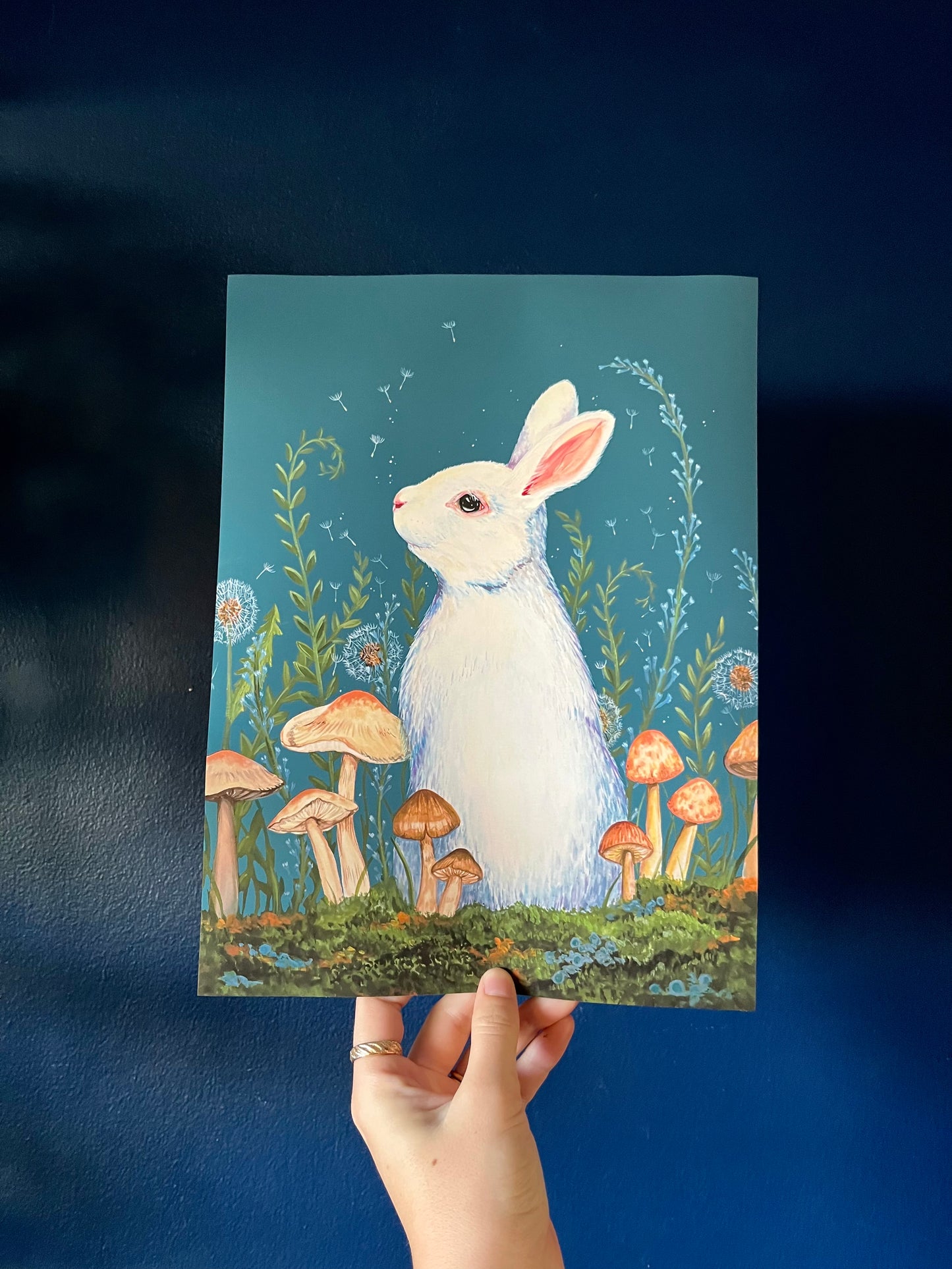 9"x12" White Rabbit Print