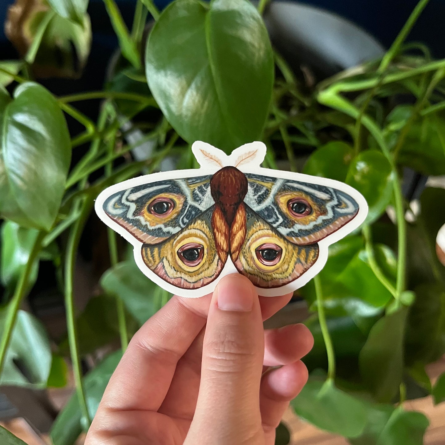 Gouache Moth Sticker