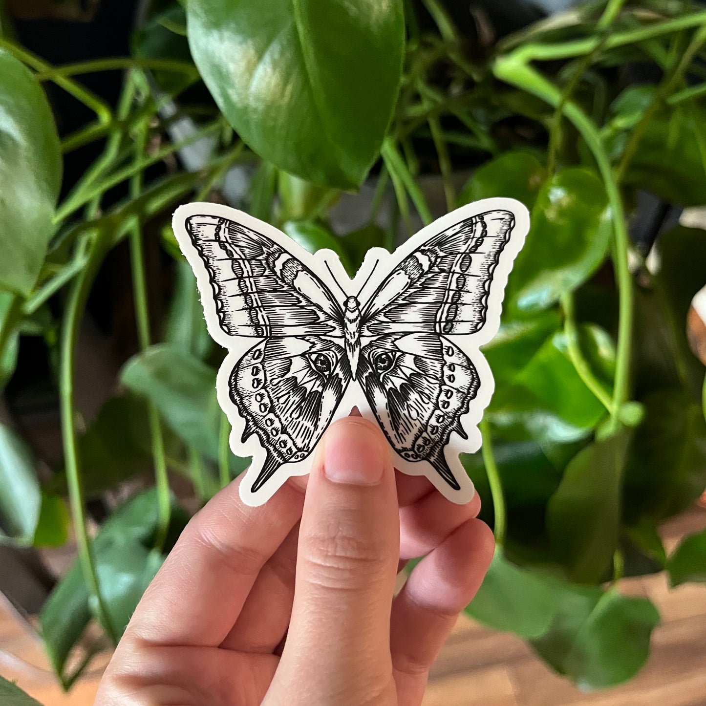 Swallowtail Pen Illustration Sticker