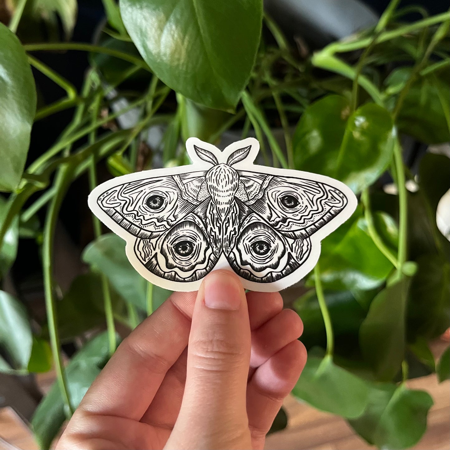 Illustrated Moths Sticker Pack