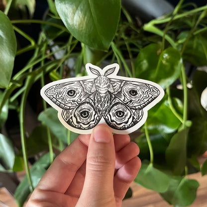 Illustrated Moths Sticker Pack