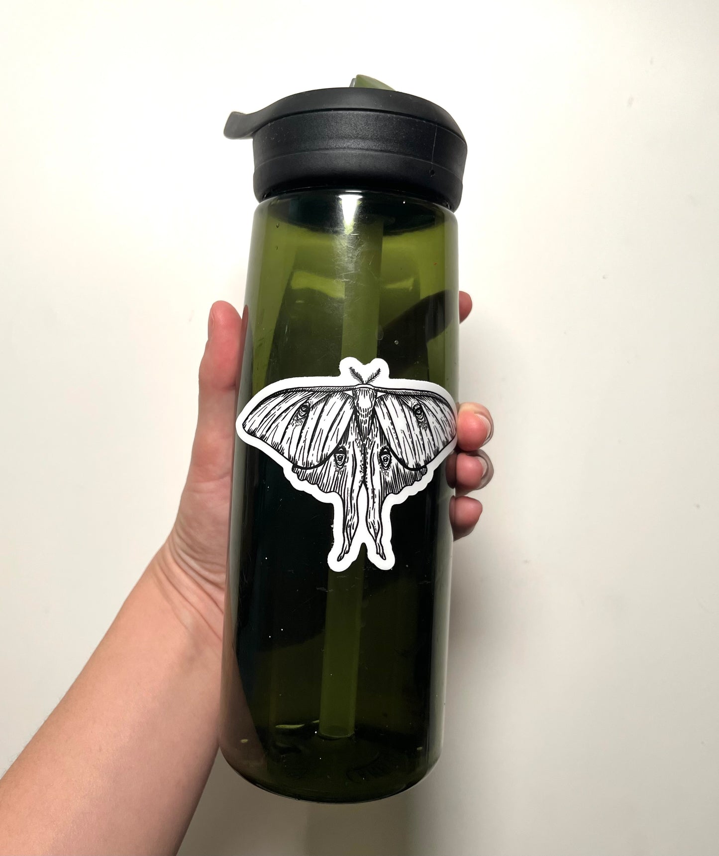 Luna Moth Pen Illustration Sticker