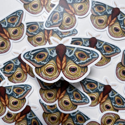 Gouache Moth Sticker