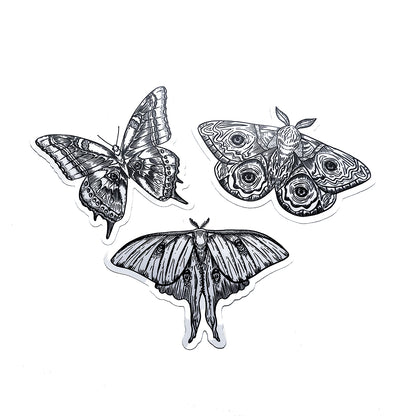 Illustrated Moths Sticker Pack