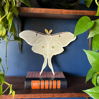 White Luna Moth Wood Cutout Print