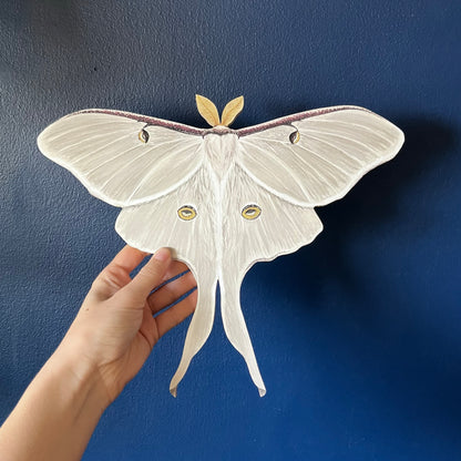 White Luna Moth Wood Cutout Print