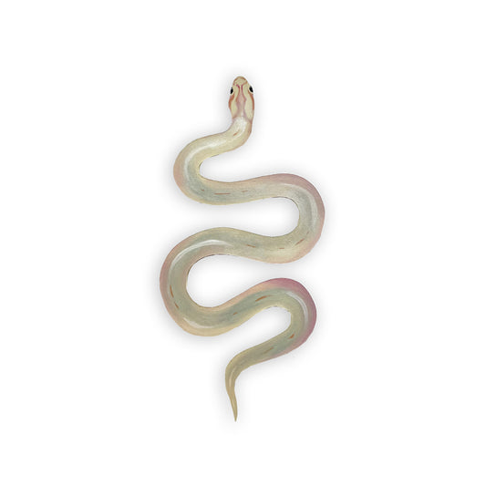 Hand-Painted Iridescent Ball Python Snake Wood Cutout