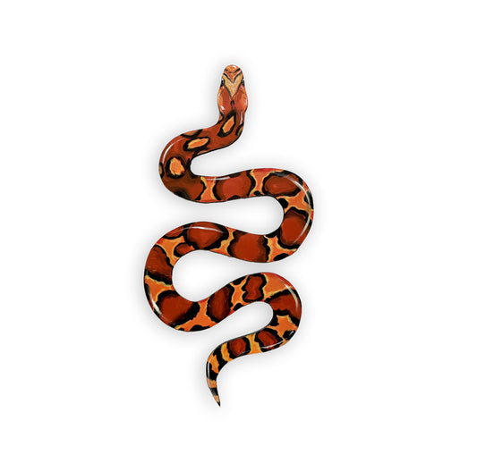 Hand-Painted Red Corn Snake Wood Cutout