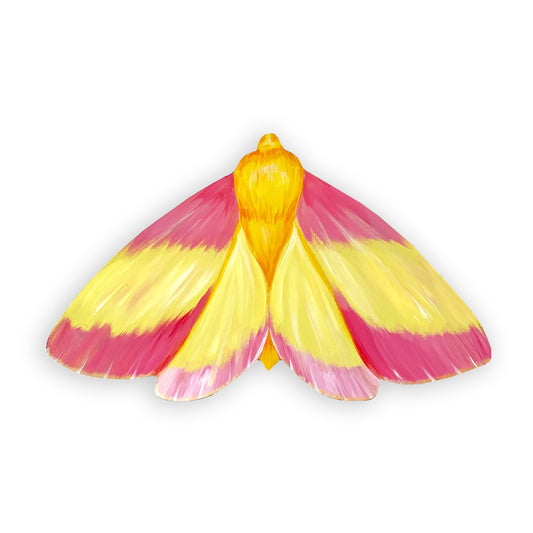 Hand-Painted Rosy Maple Moth Wood Cutout