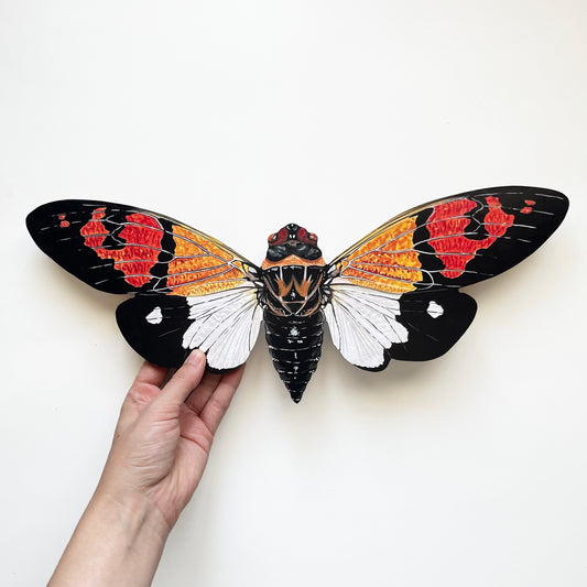 Handmade Gaena Festiva Cicada Print Wood Cutout