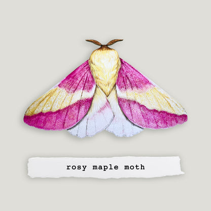 Rosy Maple Moth Wood Cutout Print