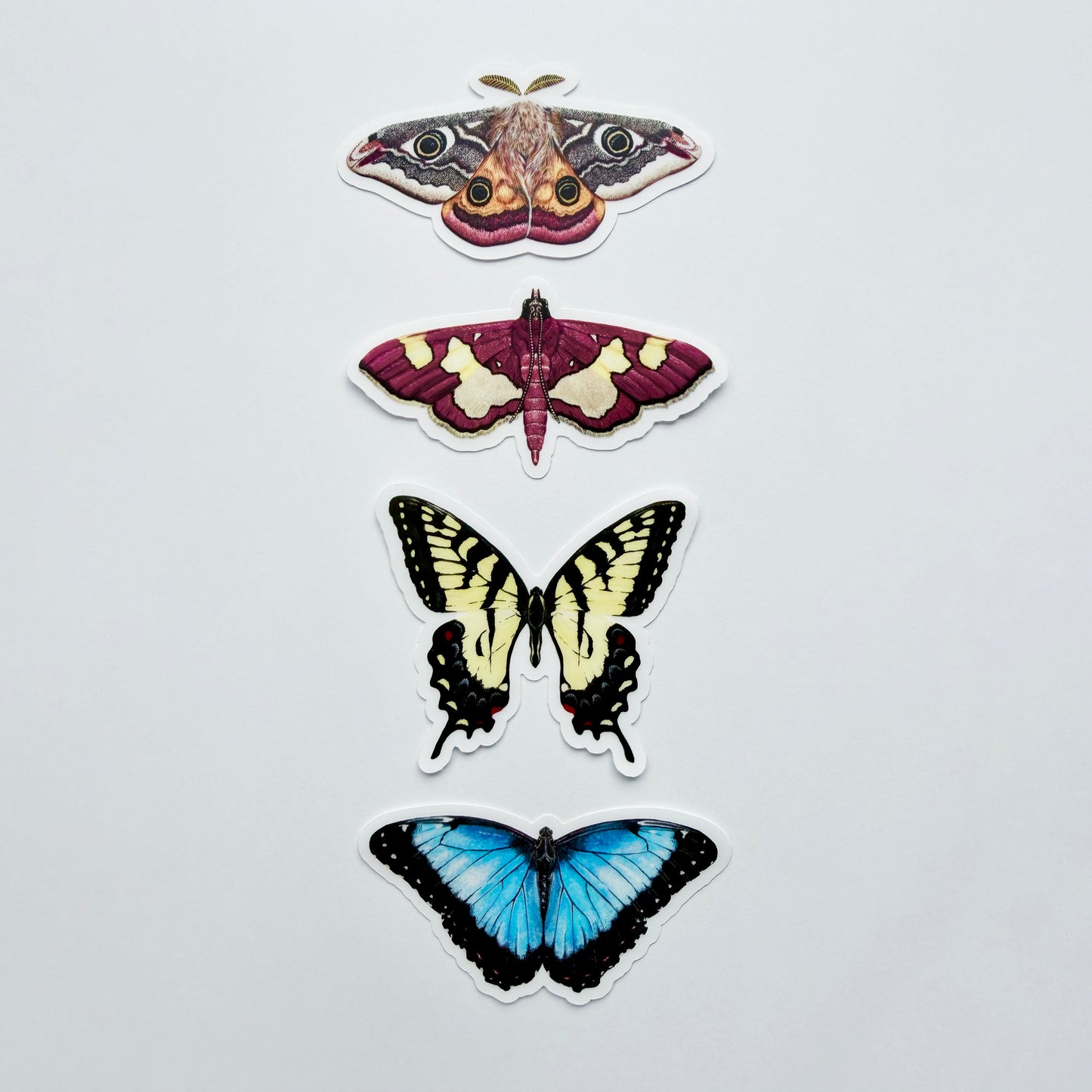 Clear Background Butterfly & Moth Sticker Pack #2
