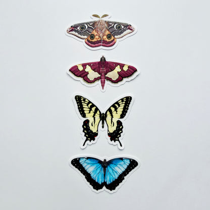 Clear Background Butterfly & Moth Sticker Pack #2