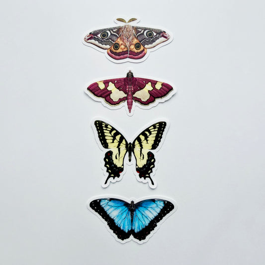 Clear Background Butterfly & Moth Sticker Pack #2
