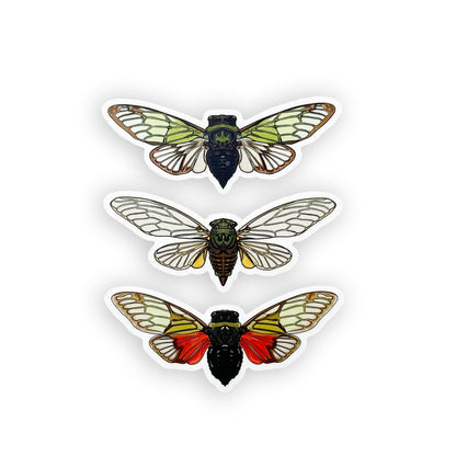 Red Salvazana Cicada Sticker