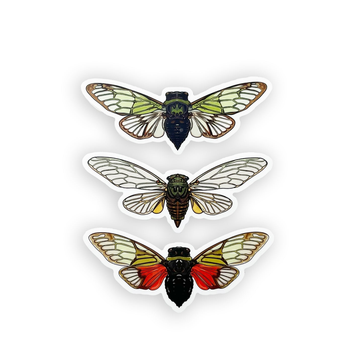 Golden Emperor Cicada Sticker