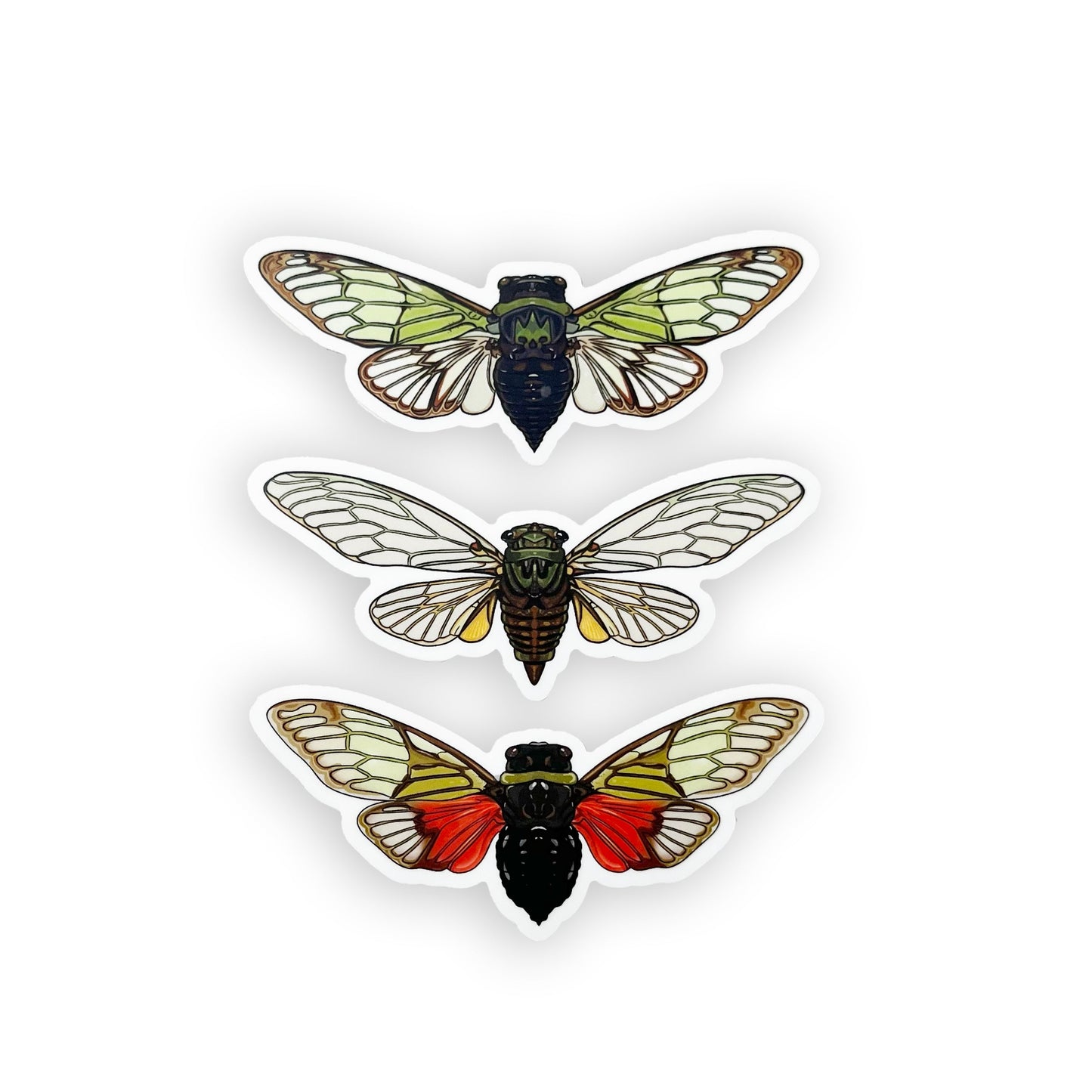 Green Field Cicada Sticker