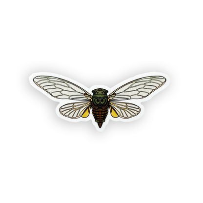 Cicada Sticker Pack