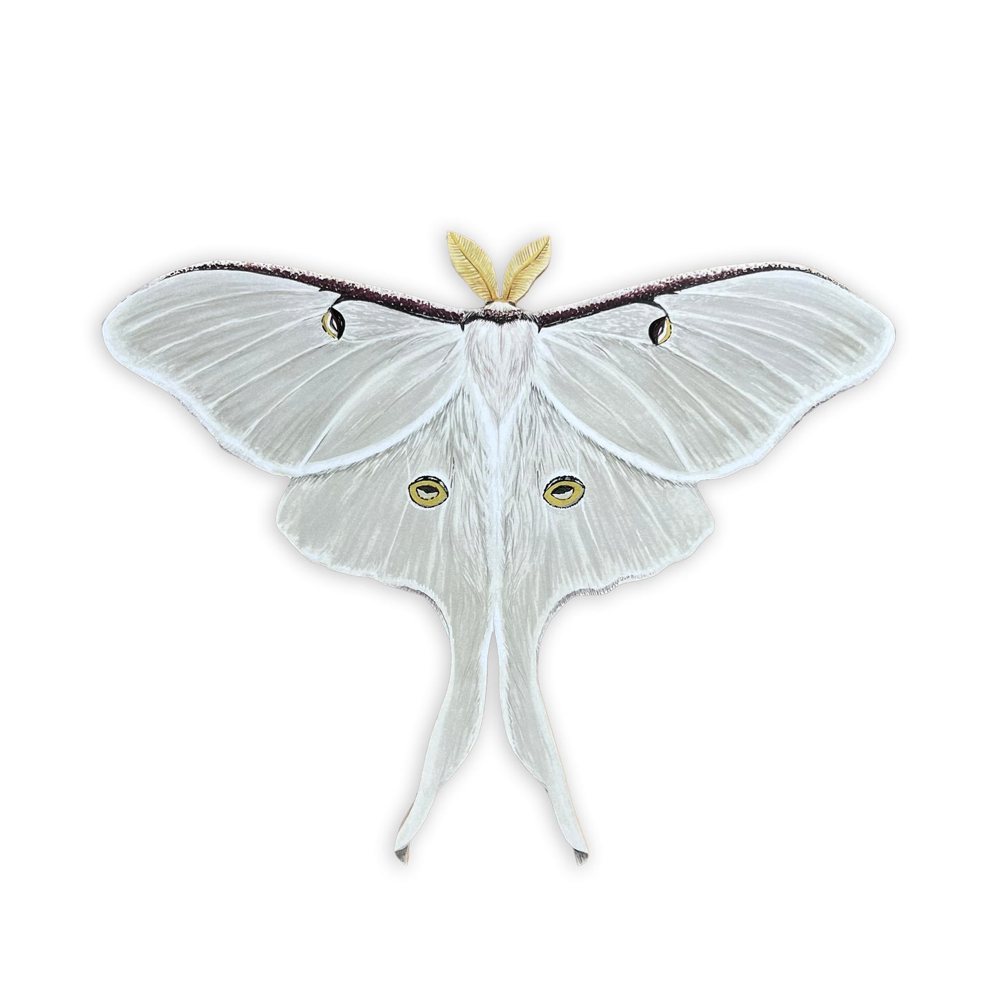 White Luna Moth Wood Cutout Print